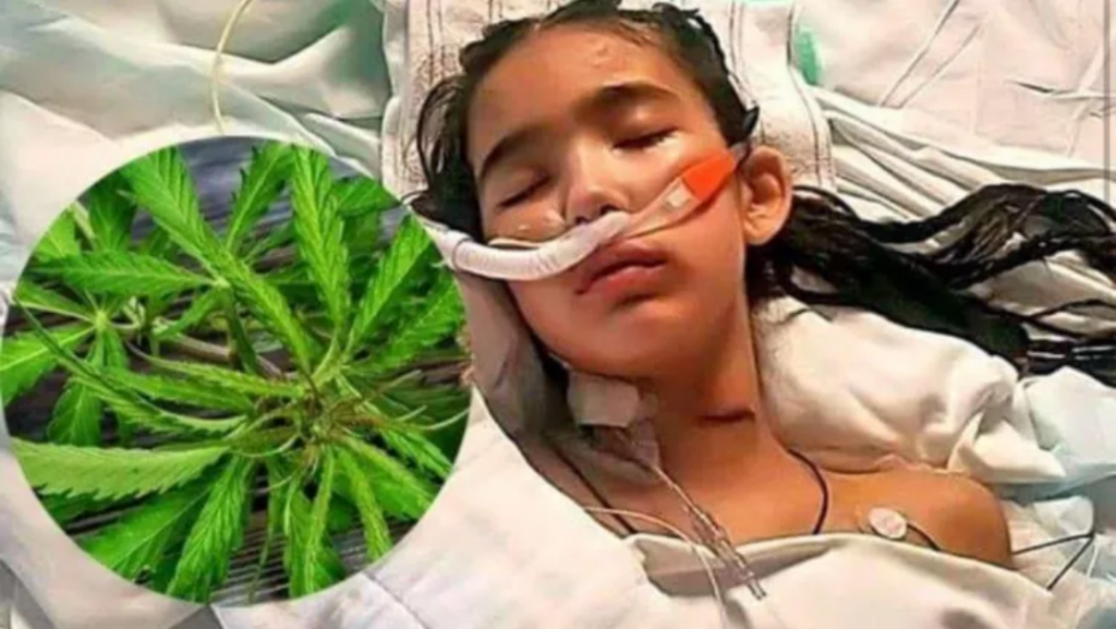 मृत्युको मुखमा पुगिसकेकी १२ बर्षीय बालिकालाई गाँजाले यसरी बचायो ! डाक्टर पनि चकित