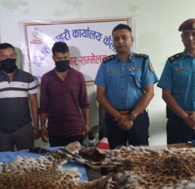 अमलाले हाम्रो स्वास्थ्यलाई कस्तो फाइदा गर्छ ? हेर्नुहोस ।