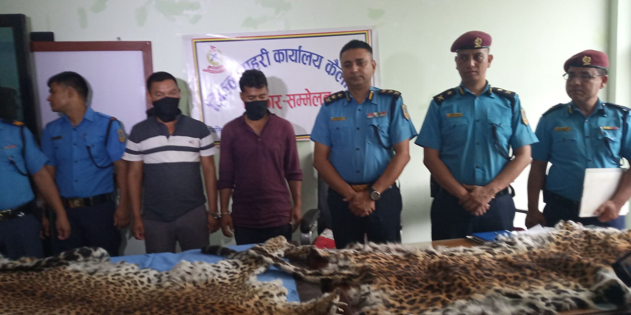 अमलाले हाम्रो स्वास्थ्यलाई कस्तो फाइदा गर्छ ? हेर्नुहोस ।