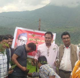 नेकपा बाजुराले ४१ औ पुष्पलाल स्मृति दिवस बृक्षारोपण गरेर मनायो ।