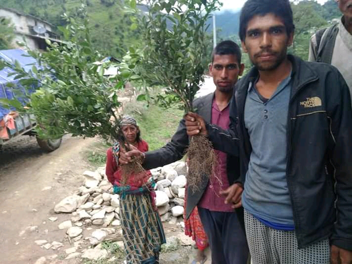 एक घर तीन फलफुलका विरुवा अभियान सुरु