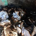 बर्दियाको गेरुवा गाउँपालिका कार्यालयमा विप्लव समुहद्वारा आगजनी, ५ लाख बराबरको क्षेती