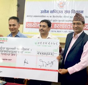 पुनः तात्यो क्रिकेट रंगशाला निर्माणको माहोल