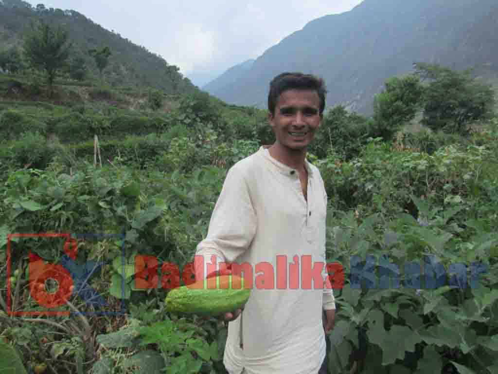 संस्थाको ३५ हजार पाउने जागीर छोडेर तरकारी खेतीमा