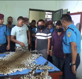 चितुवाको छालासहित अत्तरियाबाट २ जना पक्राउ