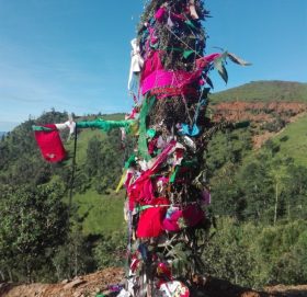 सुदूरपश्चिममा ओल्के र बुढी हाल्ने पर्व मनाईदै