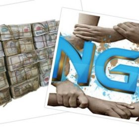 आईएनजीओले लुकाए १ खर्ब २ अर्ब