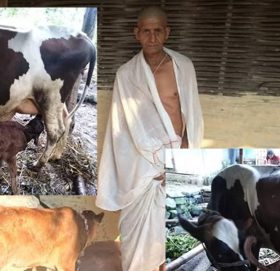 मोरङ्गमा आफ्नो लौनो गाई म*रेपछि गाईको काजक्रिया गर्ने हेमलाल पौडेल !