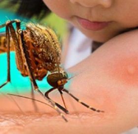 अछाममा २ जनामा डेगुं