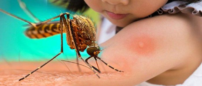 अछाममा २ जनामा डेगुं