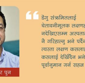 डेंगुलाई घातक हुनबाट यसरी रोकौं