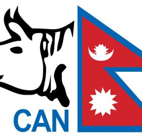 प्रधानमन्त्री कप क्रिकेटको सेमिफाइनल : पुलिस र आर्मी खेल्दै