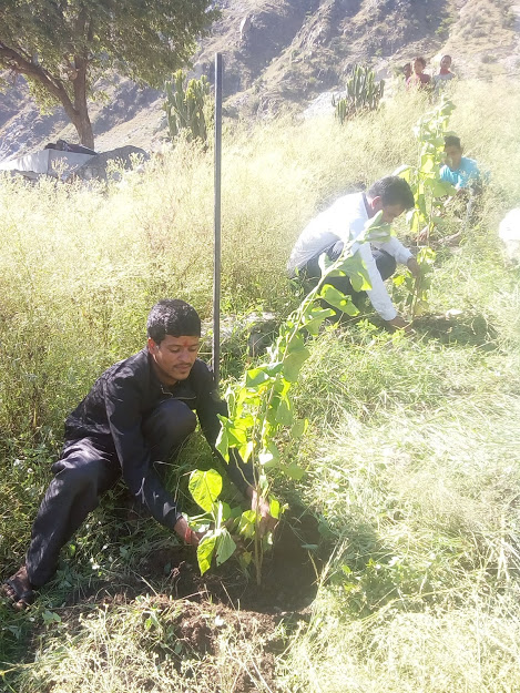 हिमाली गाउँ पालिकाले बिरुवा रोपेर सम्बिधान दिवस मनायो