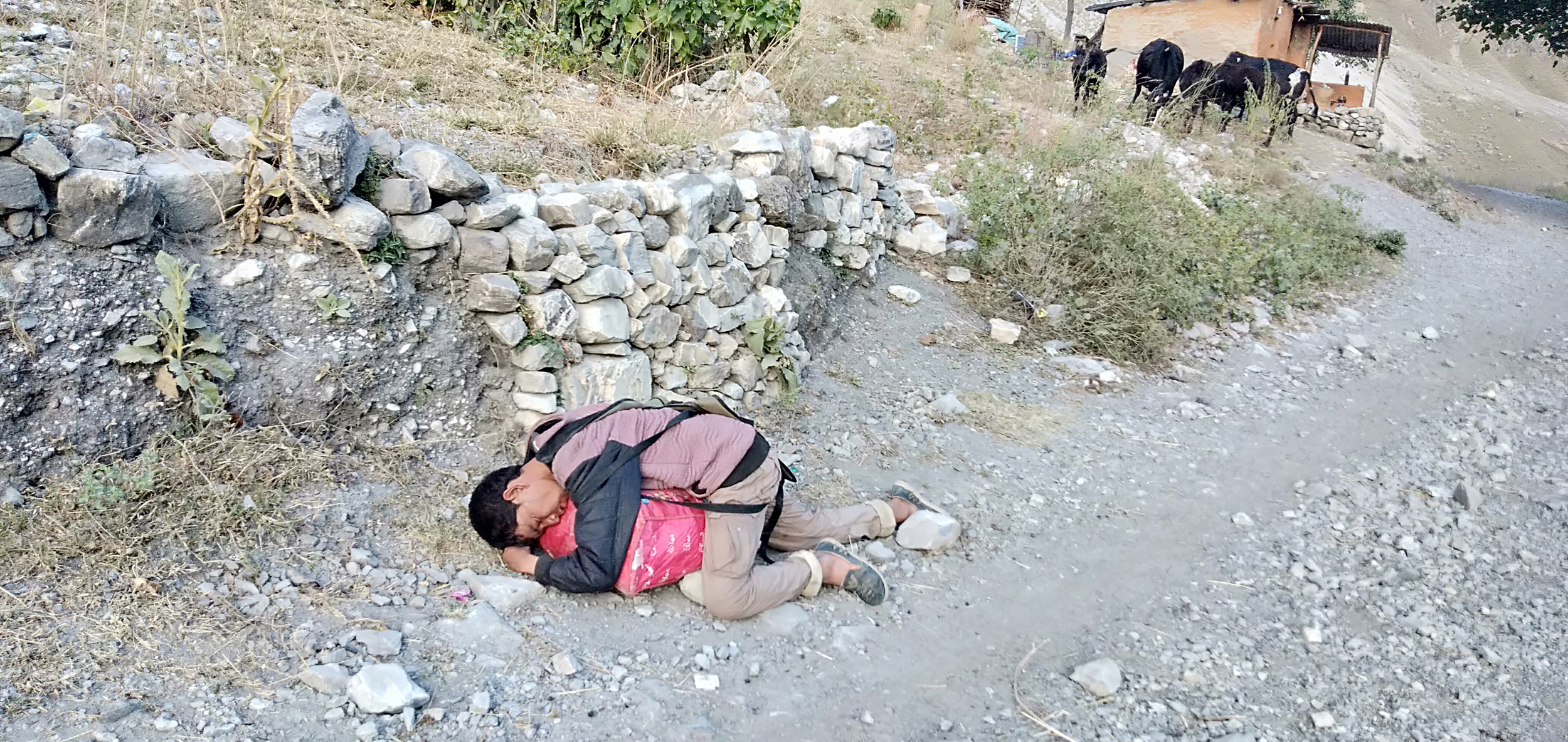 बाजुरामा एक महिनामा दुई करोड भन्दा बढि मदिरा बिक्रि