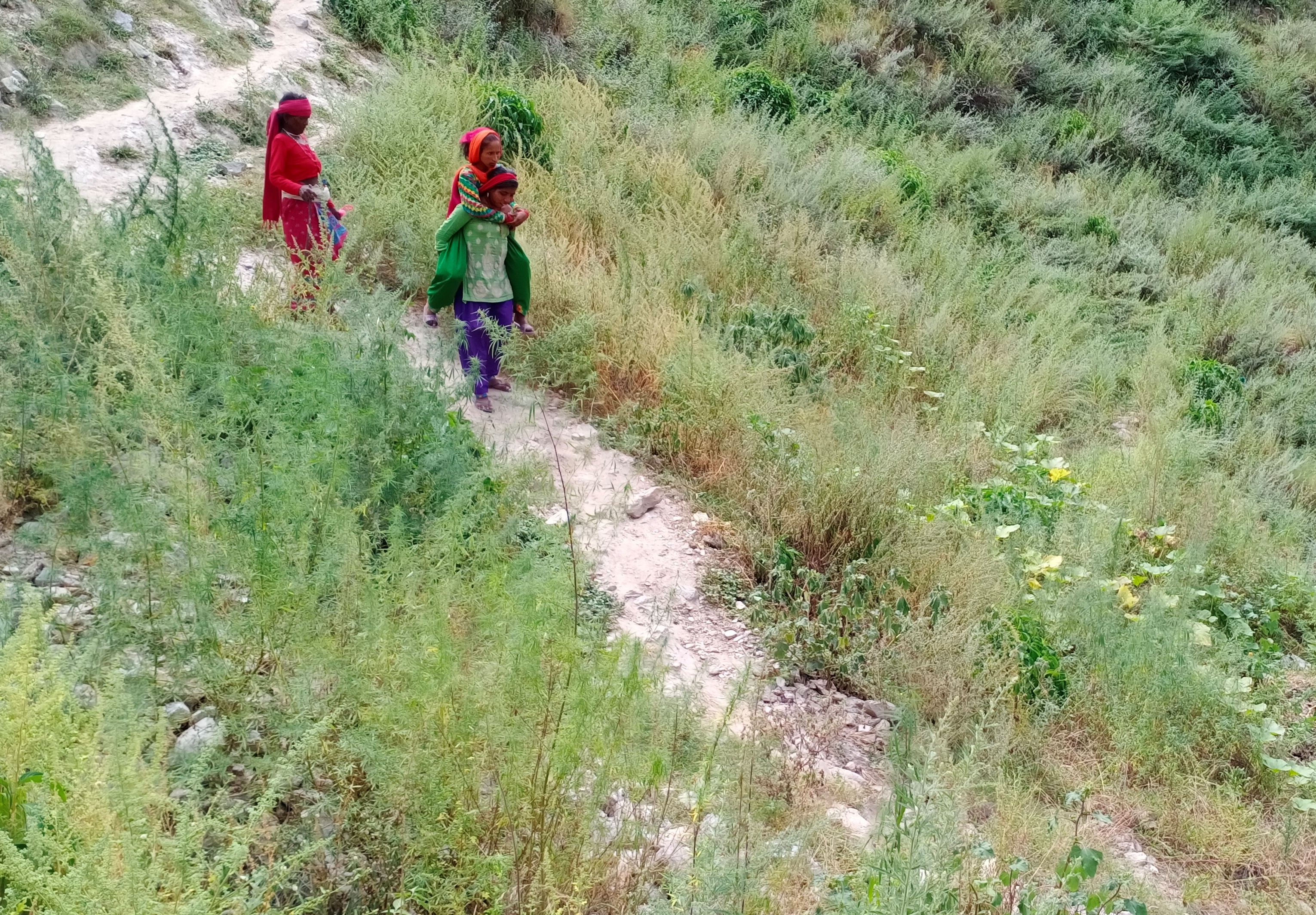 चिकित्सक बिहिन कोल्टि प्राथमिक स्वास्थ्य केन्द्र