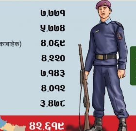 पर्व सुरक्षा गर्न ४२ हजार प्रहरी, कुन प्रदेशमा कति ?