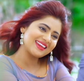 नायिका केकी अधिकारी लगायतका कलाकार चढेको गाडी दुर्घटना