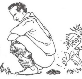 खुल्ला दिसामुक्त देश : दक्षिण एसियामै नेपाल पहिलो