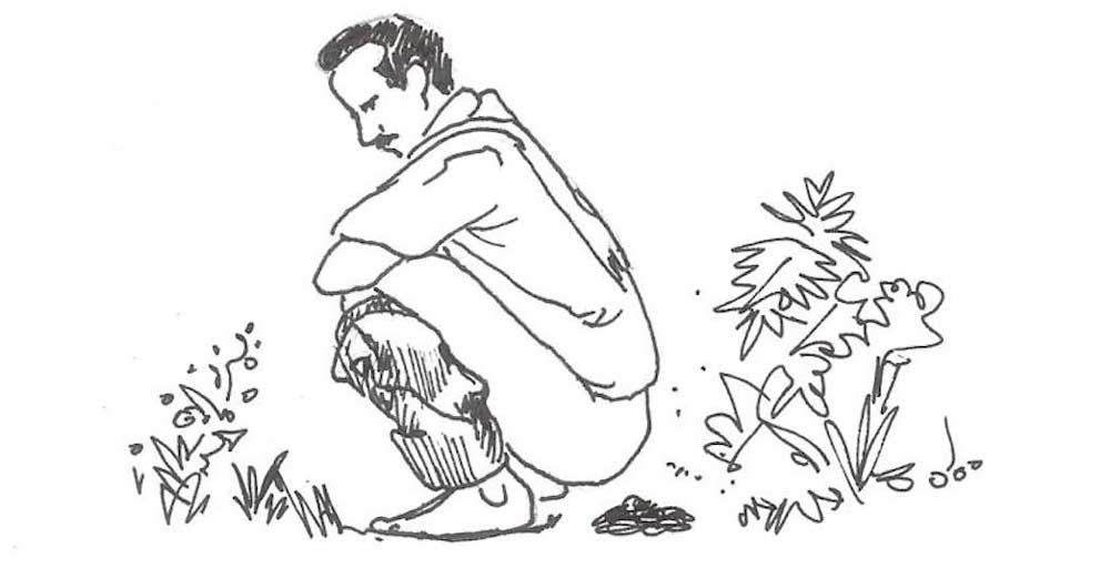 खुल्ला दिसामुक्त देश : दक्षिण एसियामै नेपाल पहिलो