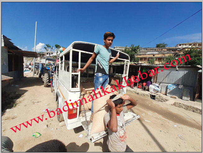 किसानले समयमै गहुँको बिउ पाए