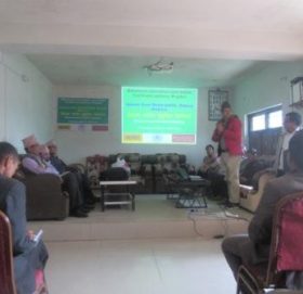 ट्रि डस होम्सले पहिलोपटक गौमुलमा काम गर्ने