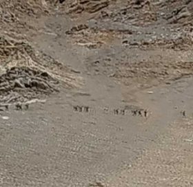 दार्चुल्लामा नेपाली भूमिमा भारतीय सेनाको ‘गस्ती’