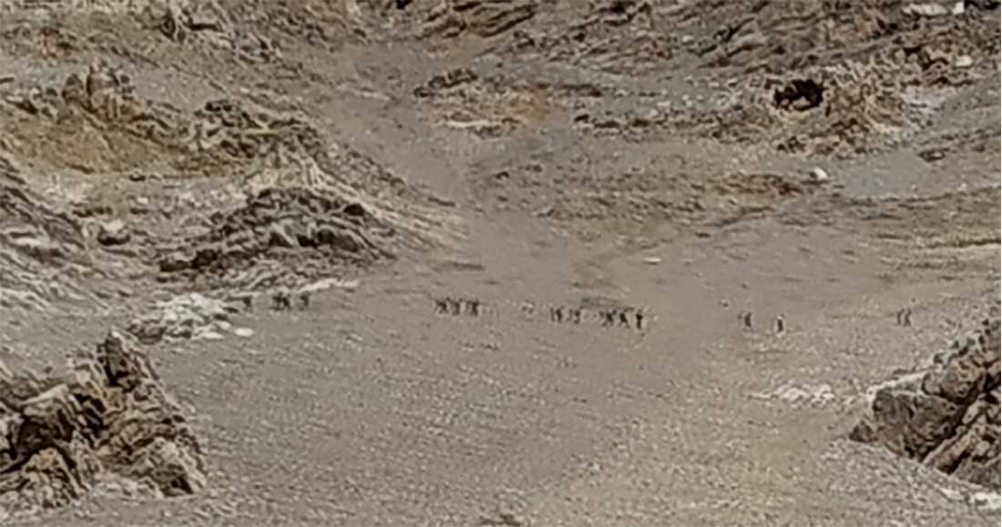 दार्चुल्लामा नेपाली भूमिमा भारतीय सेनाको ‘गस्ती’