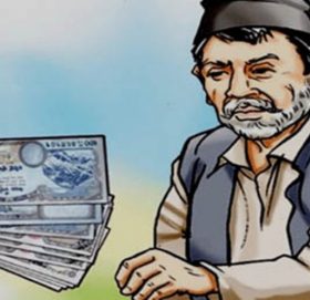 डोटीमा घरमै पुगेर वृद्धभत्ता दिँदै जनप्रतिनिधि