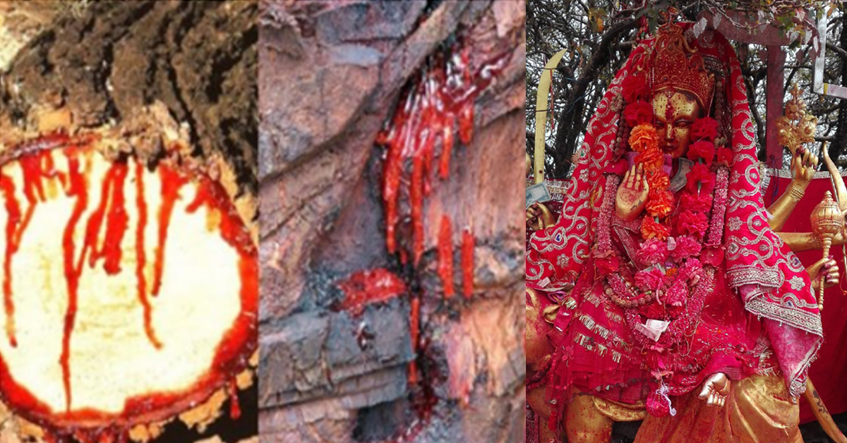 विश्वकै उत्कृष्ठ शक्तिमा पाथीभरा मन्दिर छनौट, जितको लागि १ लाख सेयर पुर्याउ