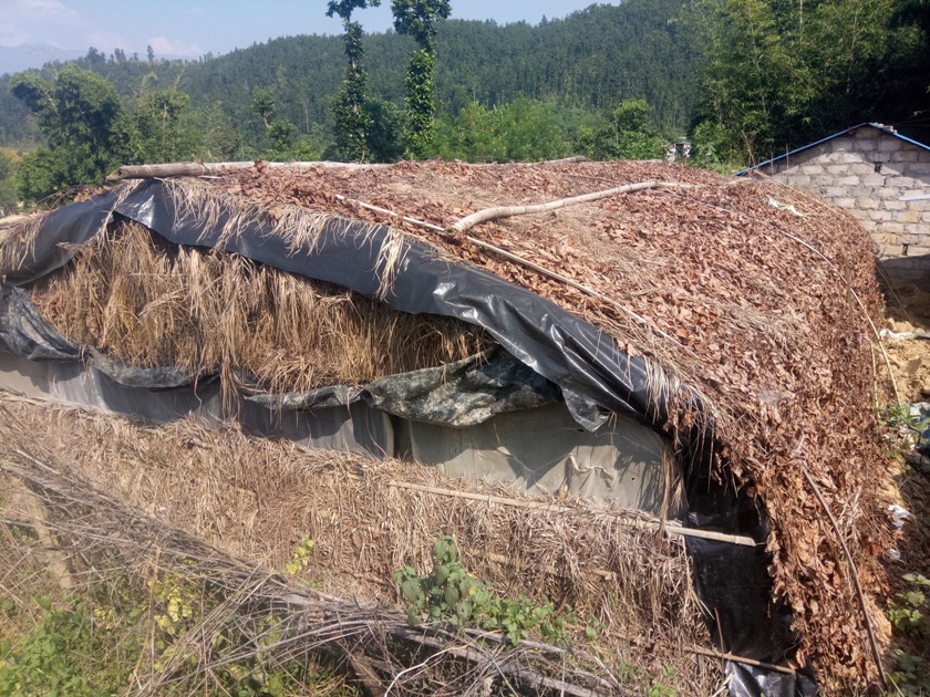 निर्वाचन क्षेत्र कार्यक्रममा अनियमितता : मन्त्रालय र फिल्डको विवरण फरक