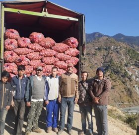 बाजुराको आलु काठमाडौ र पोखरामा