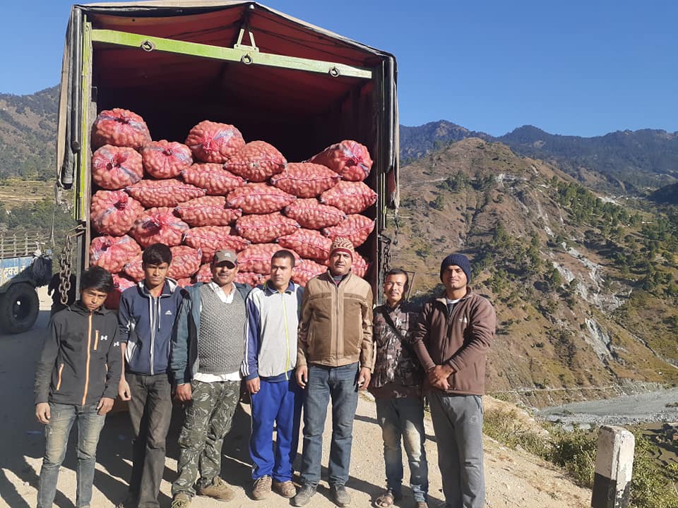 बाजुराको आलु काठमाडौ र पोखरामा