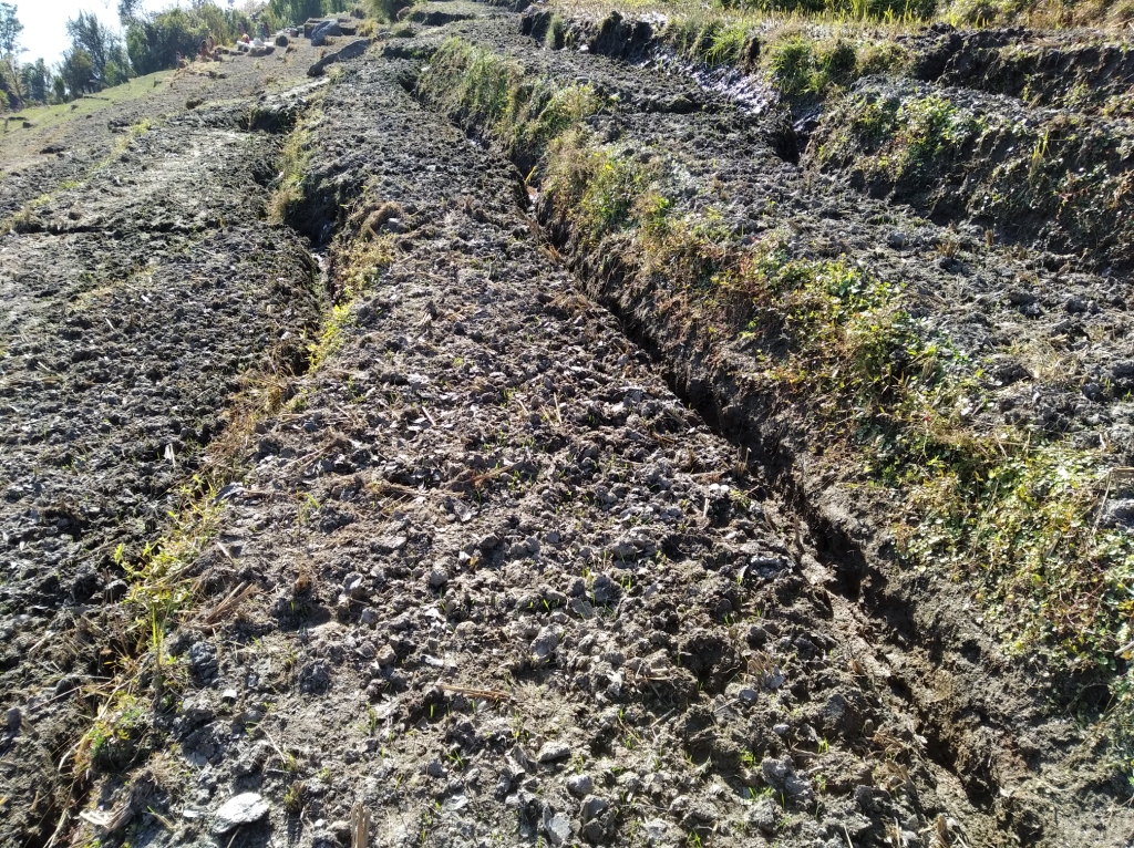 फटेग्रांले गहुबाली नष्ट