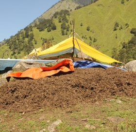 जडीबुटी सहित सामुदायीक बनका अध्यक्ष र सचिव पक्राउ