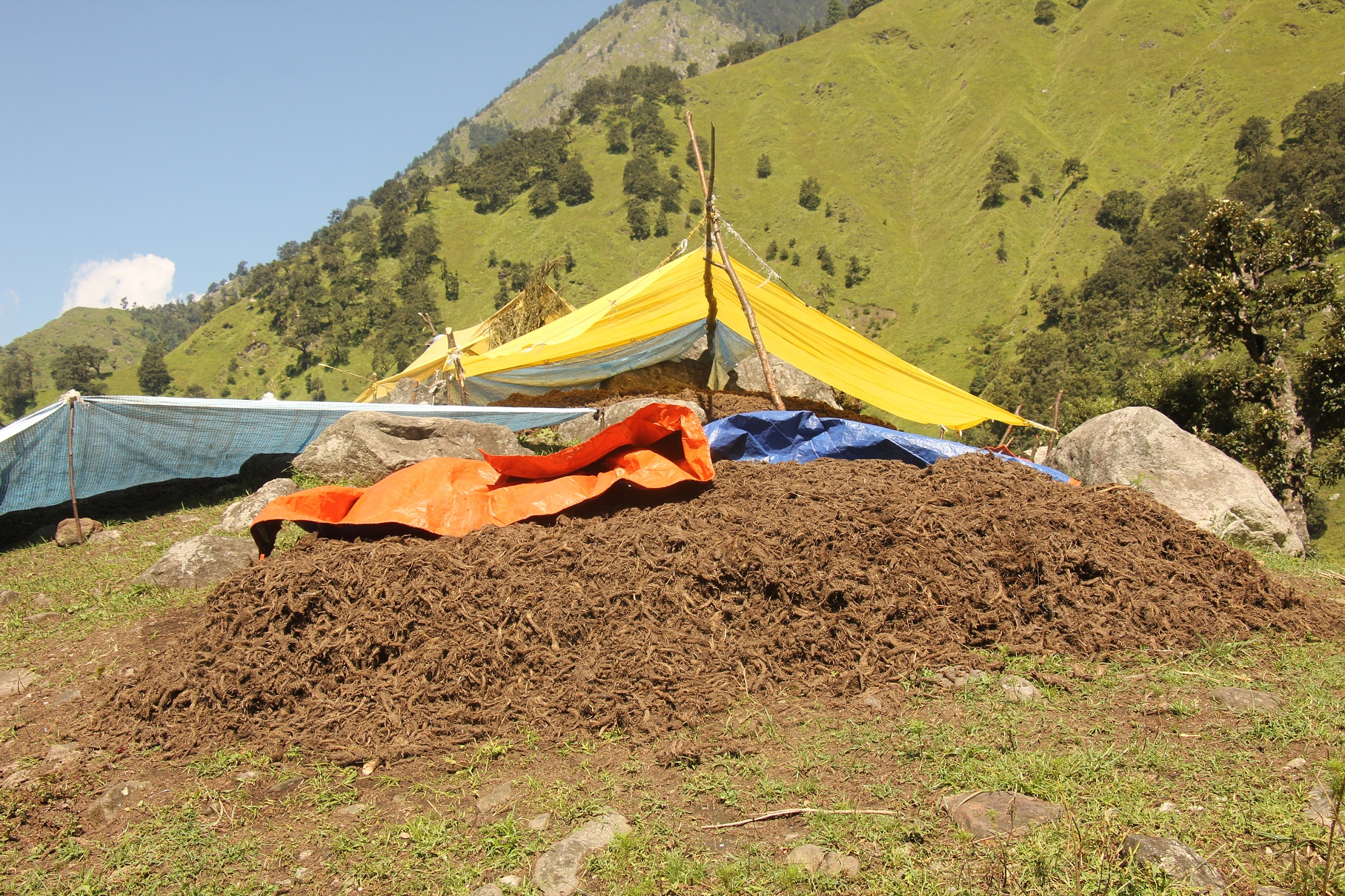 जडीबुटी सहित सामुदायीक बनका अध्यक्ष र सचिव पक्राउ