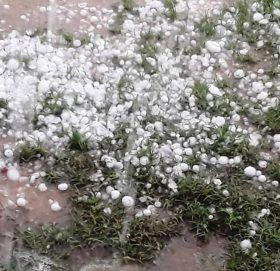 असिना पानीले अन्नबाली नष्ट