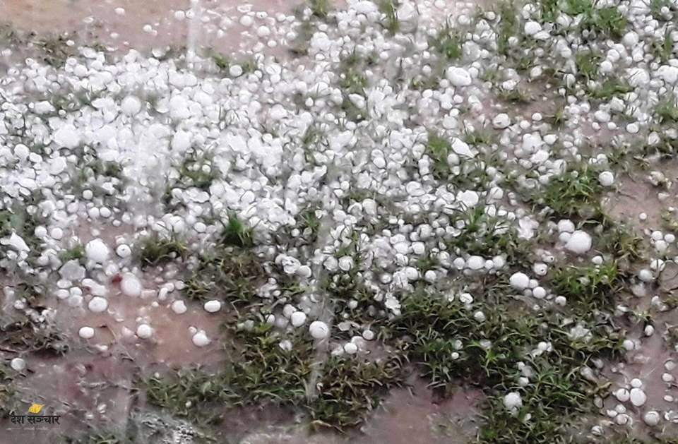 असिना पानीले अन्नबाली नष्ट