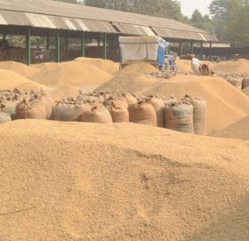 ३० हजार मेट्रिक टन धान खरीद गरिने