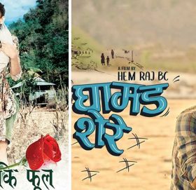 साताको सिनेमा : जीवन काँडा कि फूल र घामड शेरे