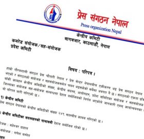 प्रेस संगठन नेपालको एकता टुंगियो (अन्तिम नामवलीसहित्)
