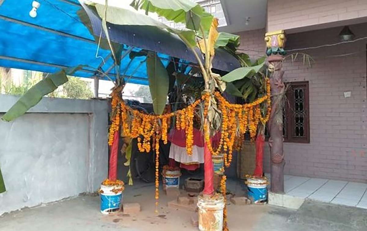 आज बाला चतुर्दशी अर्थात सतबिज छर्ने दिन, देशभरका शिवालयहरुमा सत्बीज छरि बालाचतुर्दशी पर्व मनाईंदै