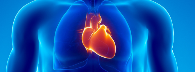 के हो मुटु बाथ रोग ?