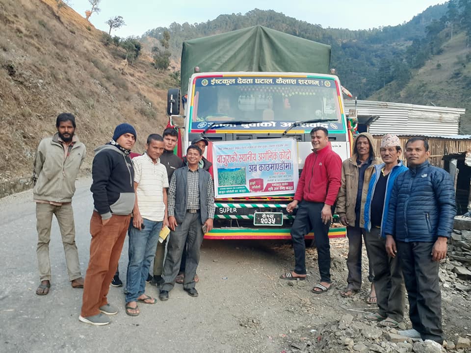 बाजुराको कोदो काठमाण्डौमा