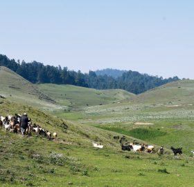 भूस्वर्गमा भ्रष्टाचार :  खप्तडमा ५० करोड सकियो, गोरेटोसमेत बनेन