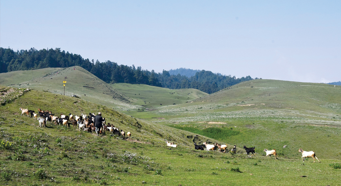 भूस्वर्गमा भ्रष्टाचार :  खप्तडमा ५० करोड सकियो, गोरेटोसमेत बनेन