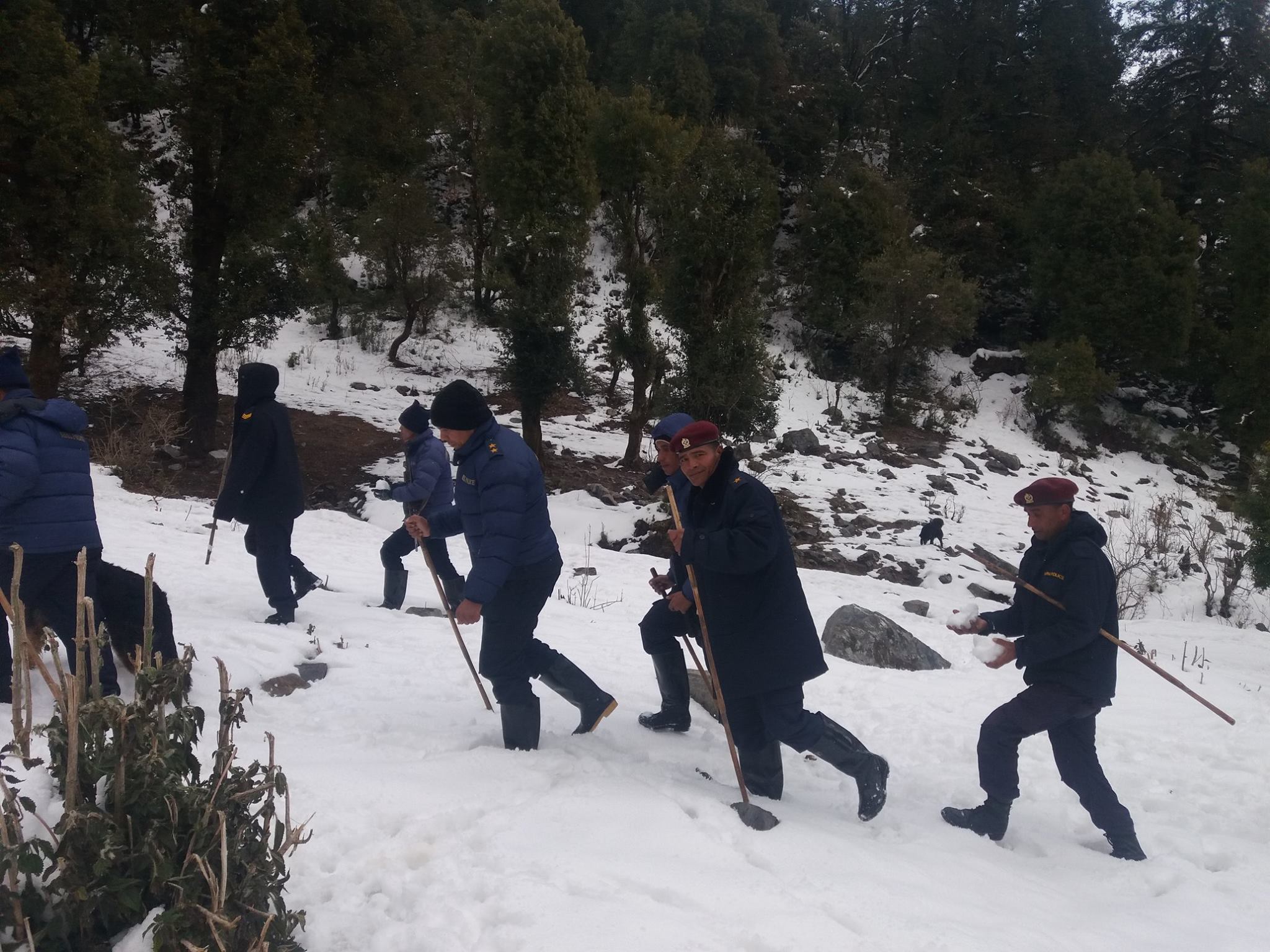 शिकार खेल्न गएको बेला दाइले बोकेको बन्दुक पट्केर भाई गम्भिर घाइते