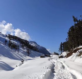 मार्तडी कोल्टी सडक अबरोध (फाेटाे फिचर)