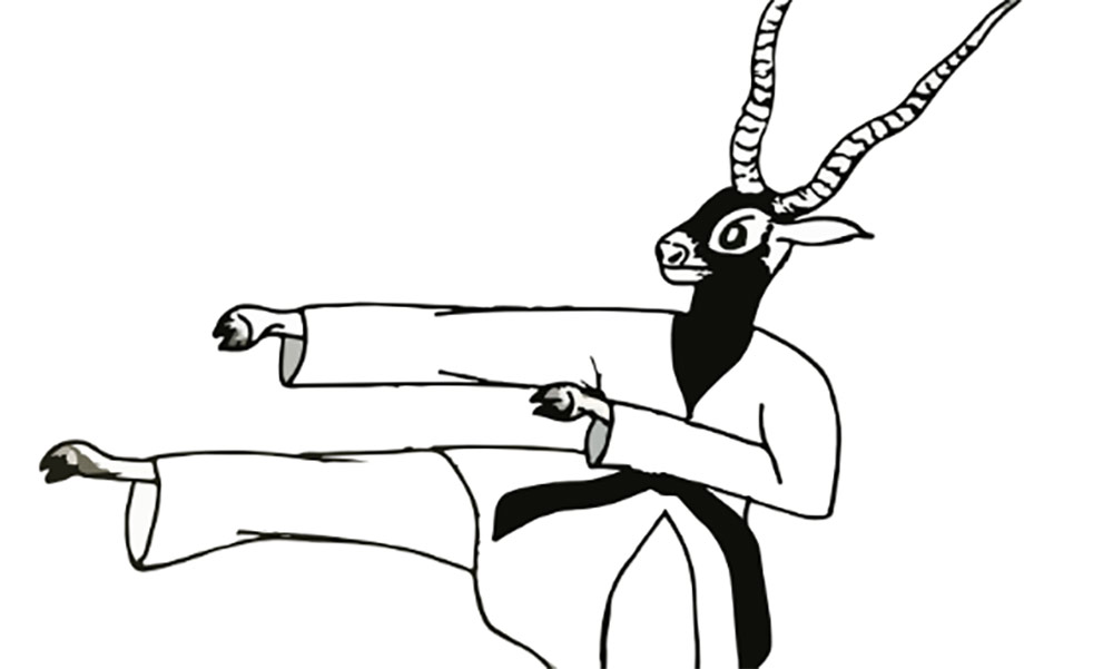 महिला टिम कातामा नेपाललाई स्वर्ण