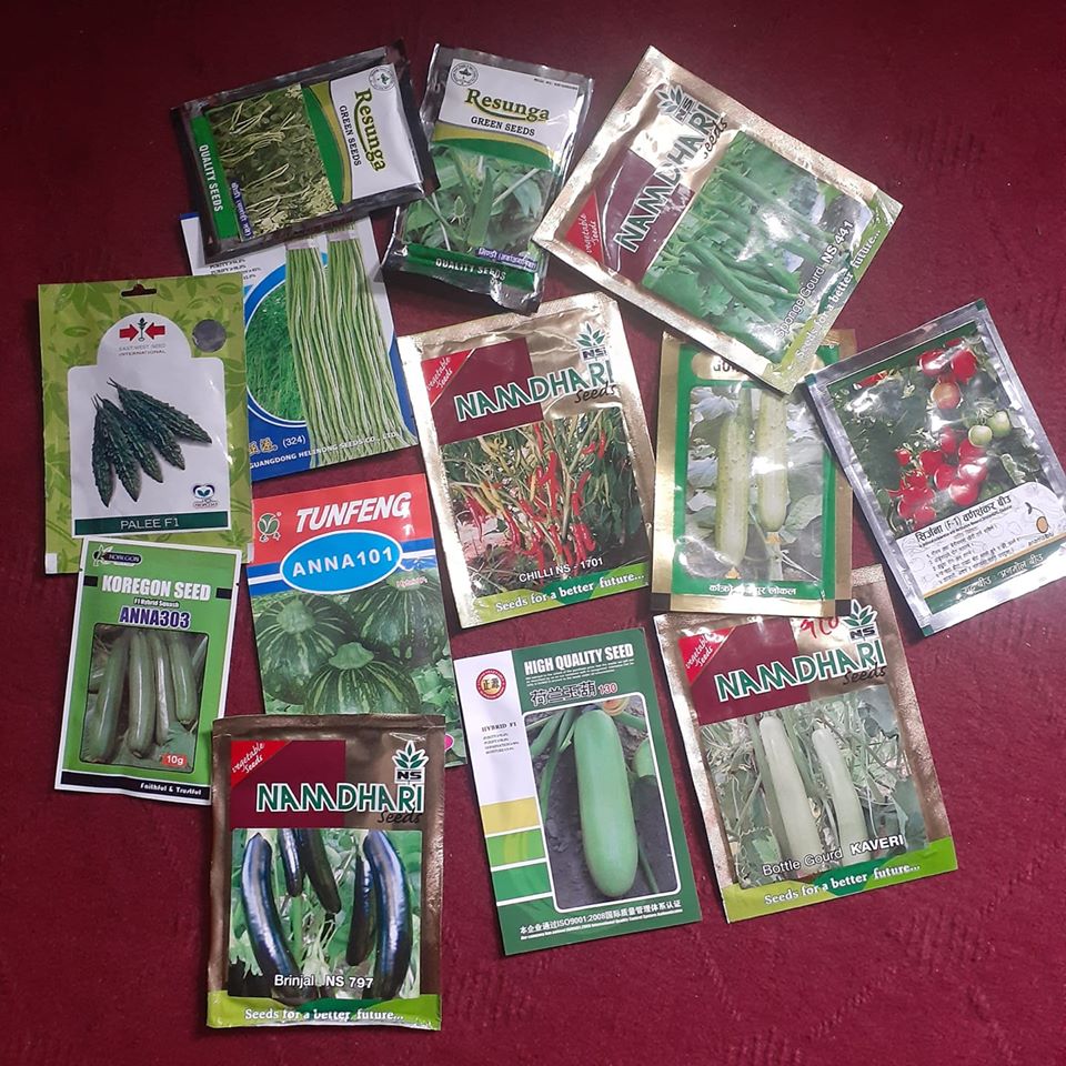 बसन्ते तथा बर्षे तरकारीको बीउ ५० प्रतिशत अनुदानमा बितरण हुदै