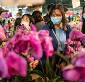 कोरोना भाइरसले  २५ को ज्यान लियो, १७७ गम्भीर बिरामी